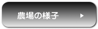 農場の様子