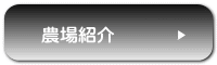 農場の様子