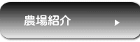 農場の様子