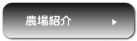 農場の様子